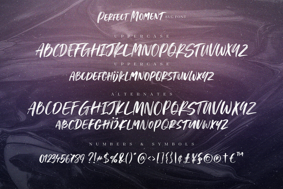 Perfect Moment SVG 13