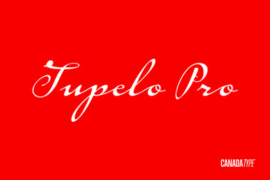 Tupelo Pro