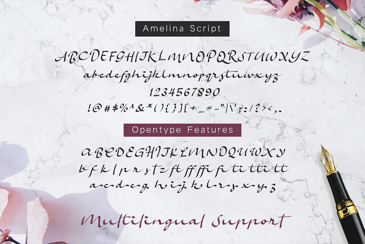 Amelina Font Duo 13