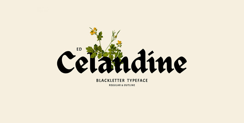 ED Celandine