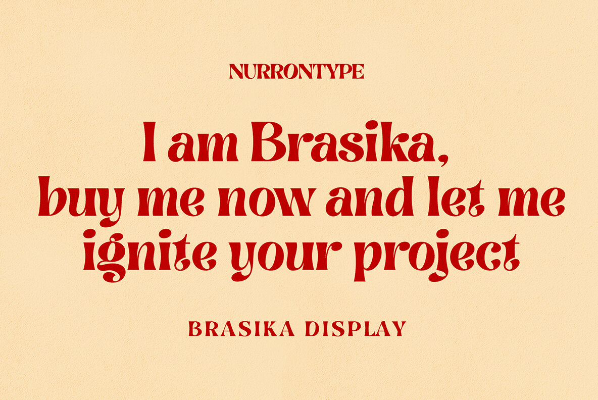 Brasika Display 17
