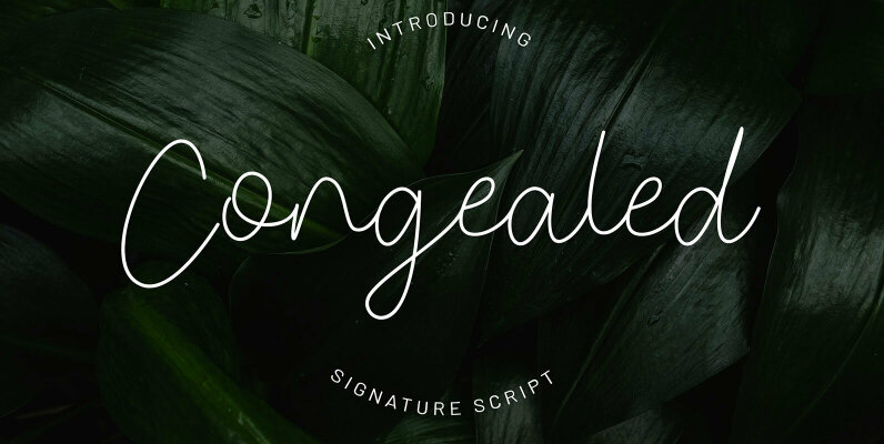 Congealed Signature