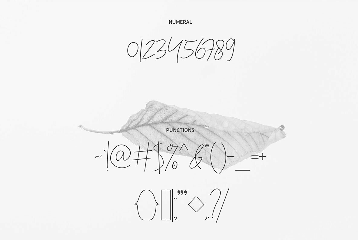 Congealed Signature Congealed Signature