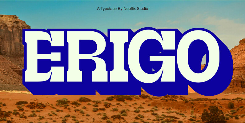 Erigo