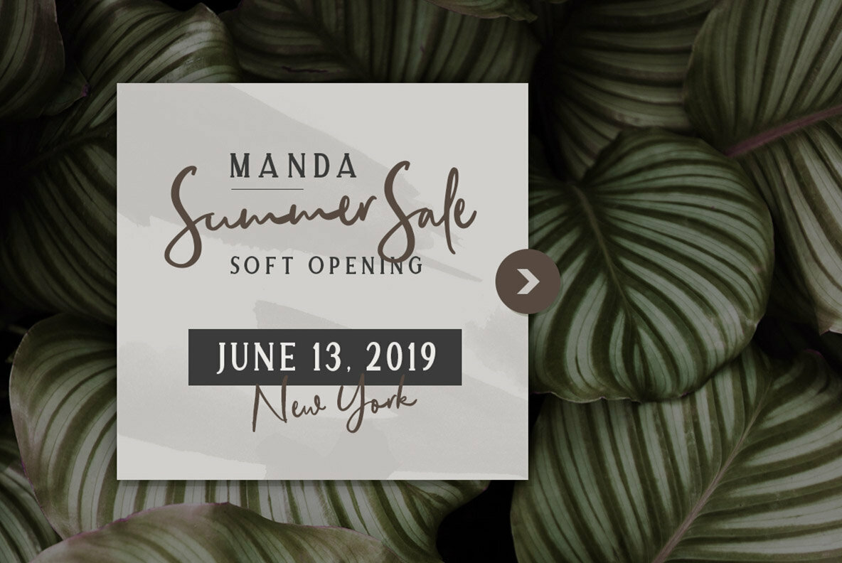 Allison Style Font Duo 4