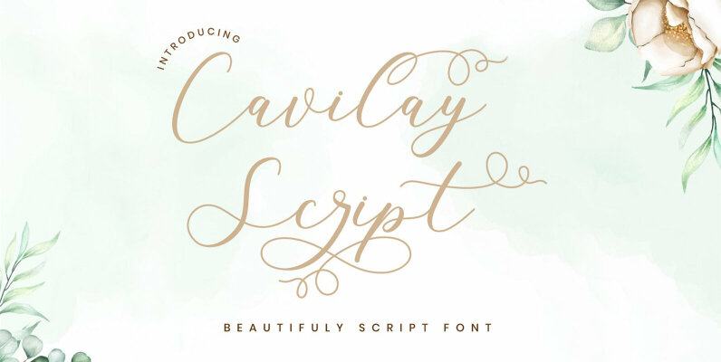 Cavilay Script