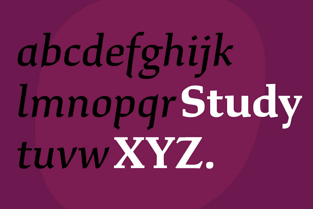 Study Study