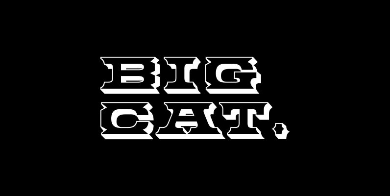 Big Cat