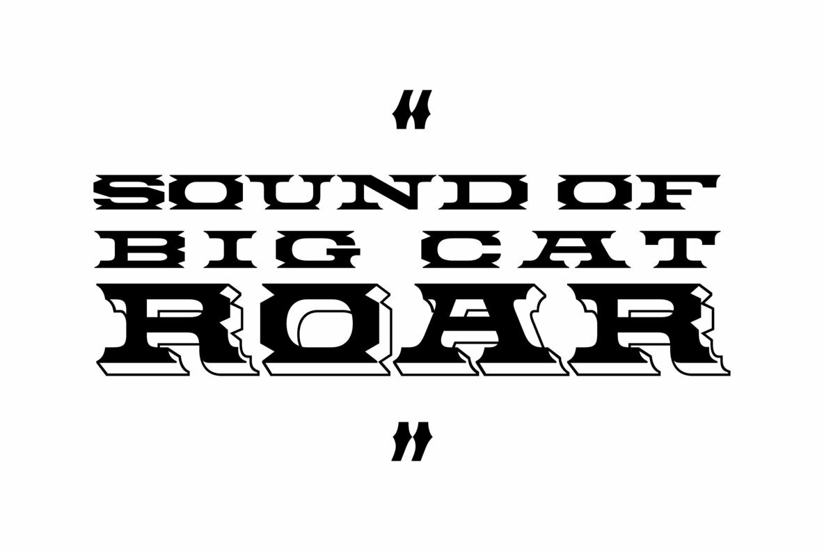 Big Cat Big Cat