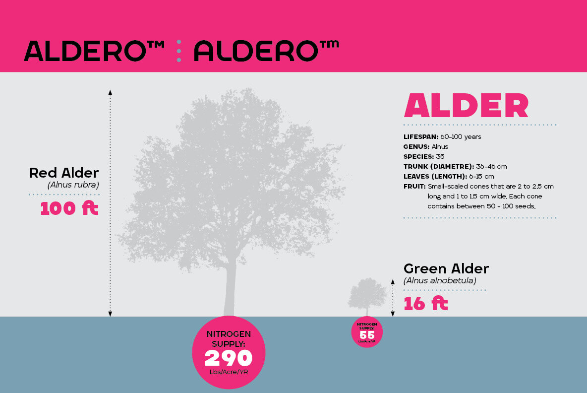 Aldero Aldero