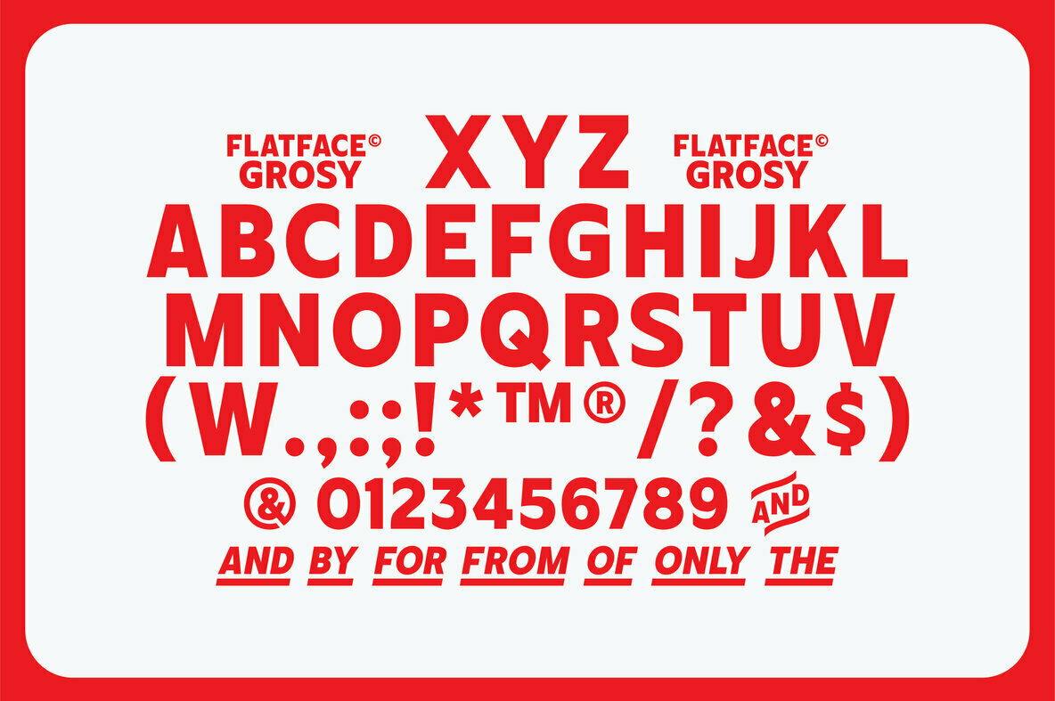 Flatface Grosy Flatface Grosy