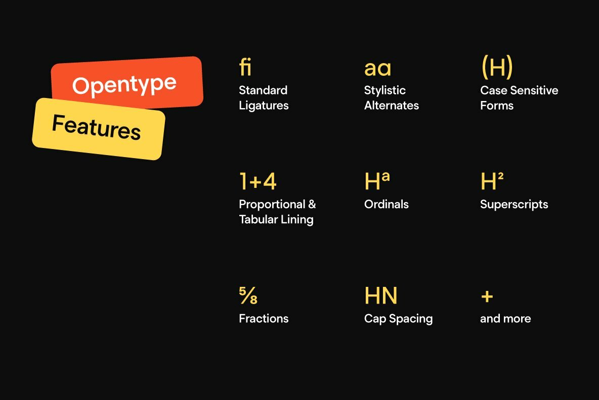 Segment Segment