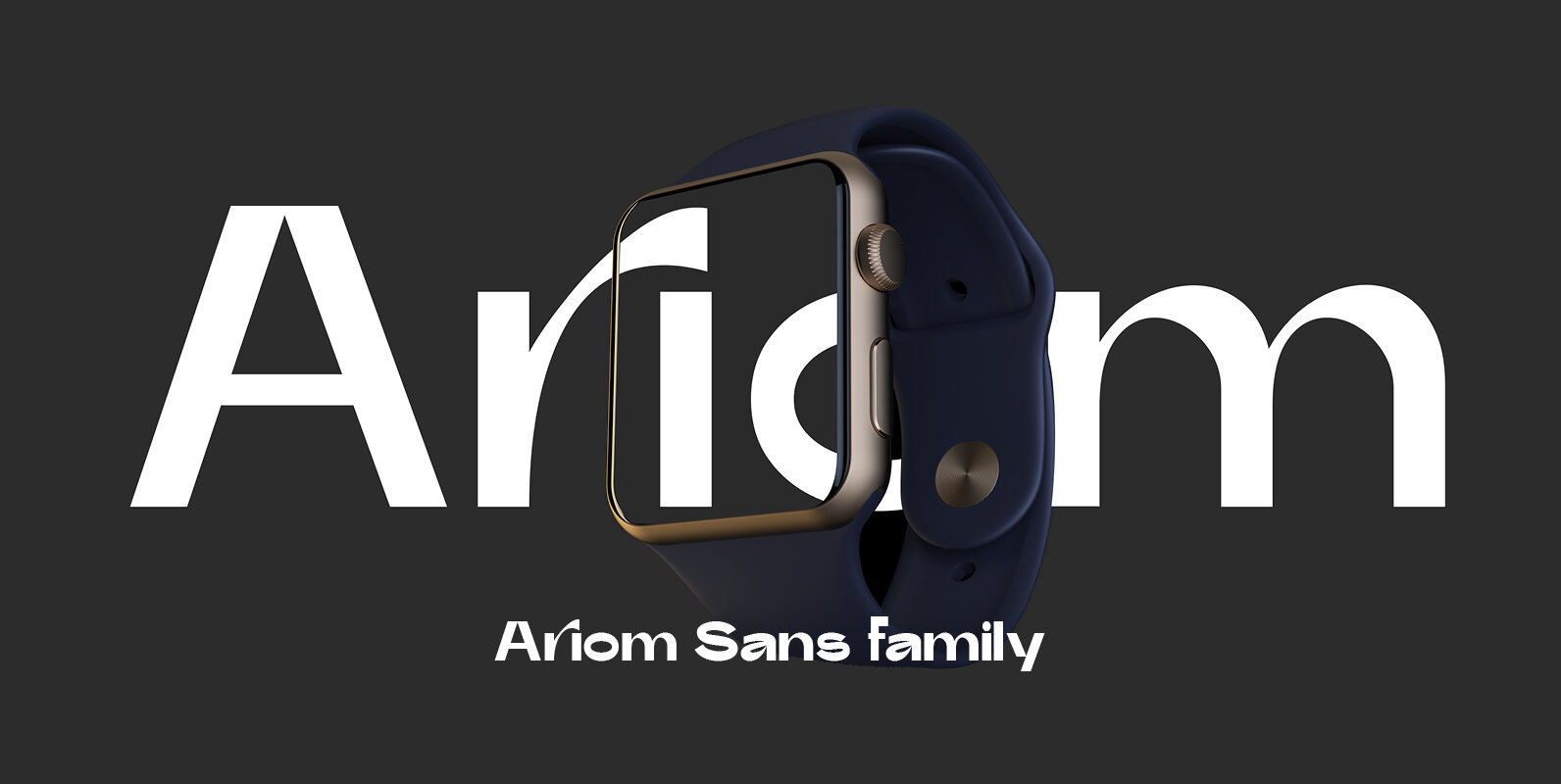 Ariom Sans Ariom Sans