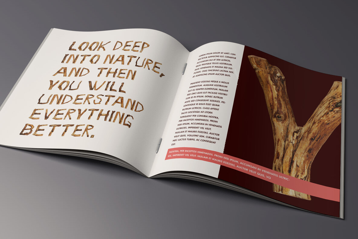 Craft Wood SVG Font Craft Wood SVG Font