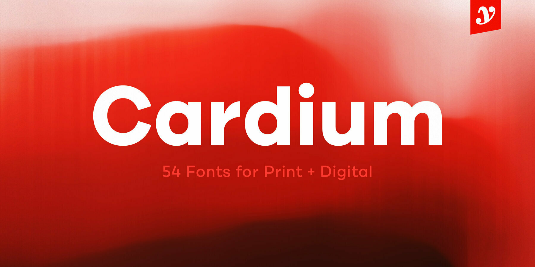 Cardium Cardium