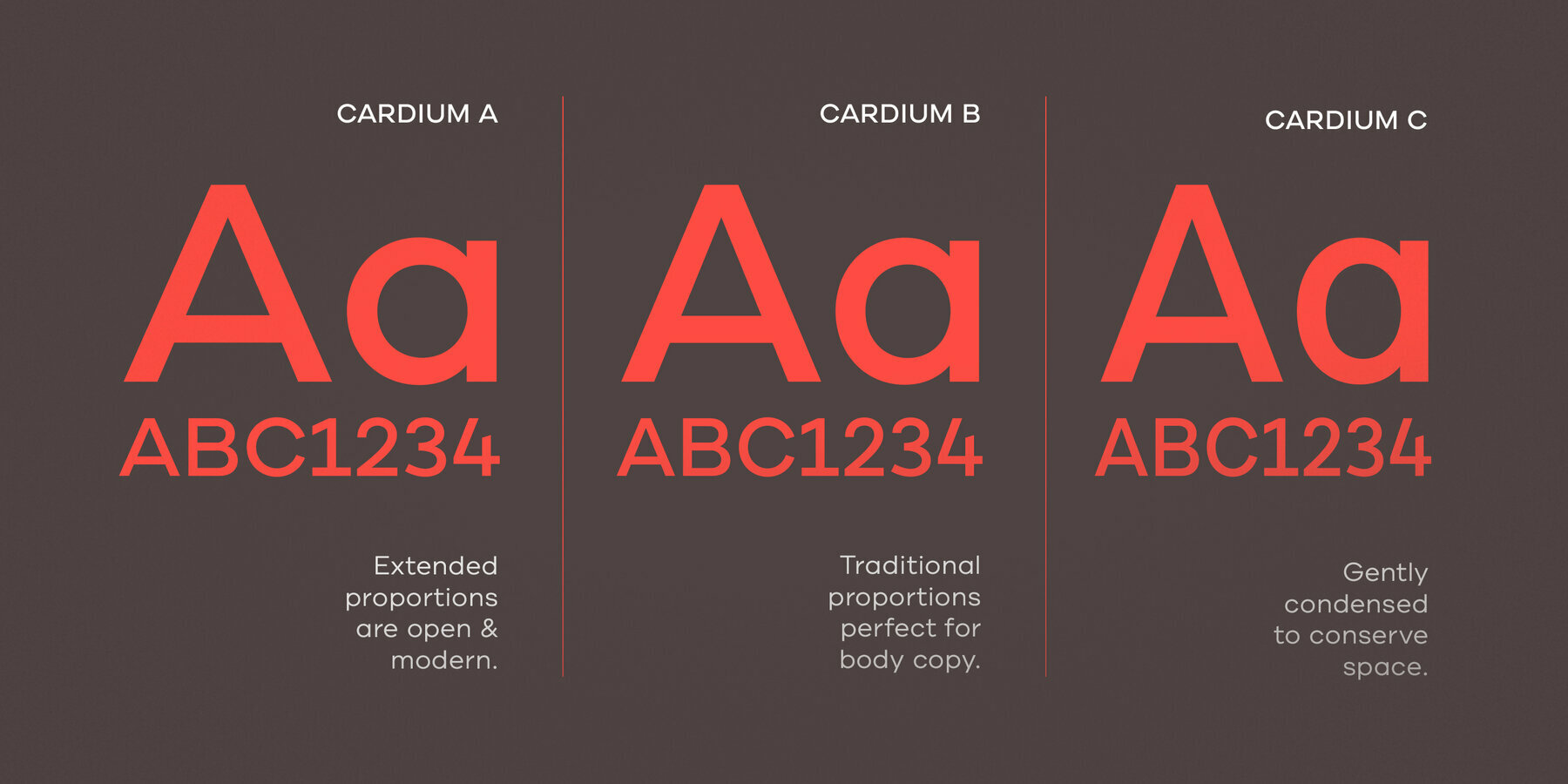 Cardium Cardium