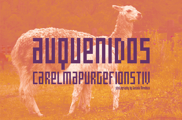 Cachiyuyo Cachiyuyo