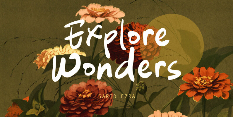 Explore Wonders