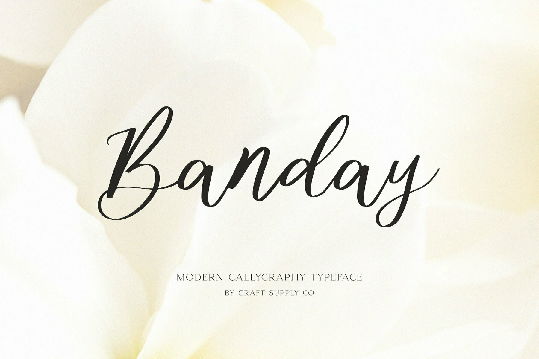 Banday Banday