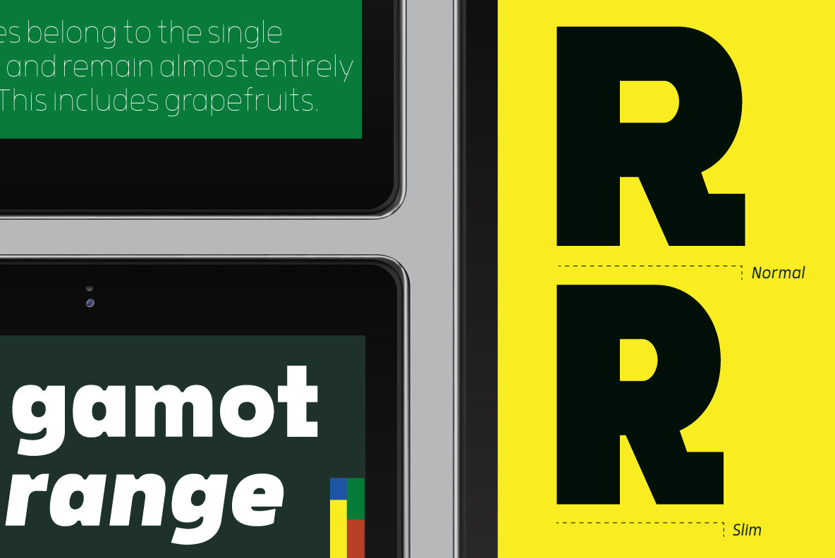 Rohyt Geometric Rohyt Geometric