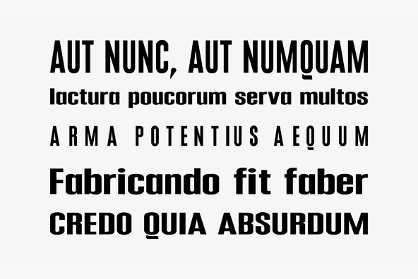 Aculida Aculida