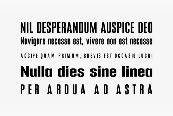 Aculida Aculida