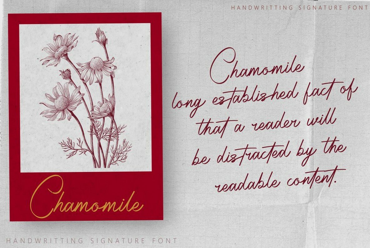 Radiantly Signature 7