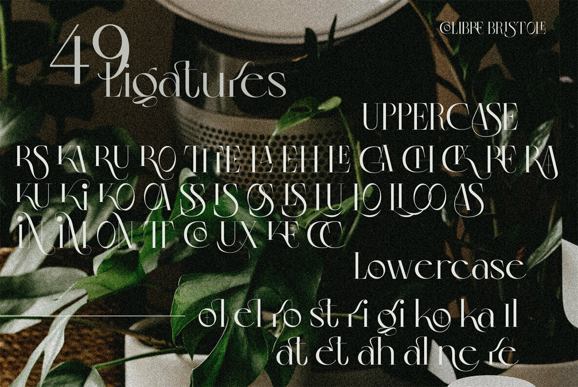 Colibre Bristole Pro Colibre Bristole Pro