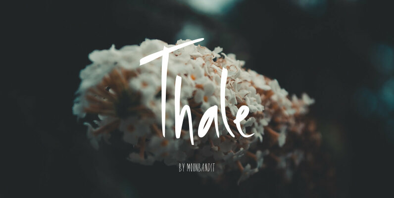 Thale