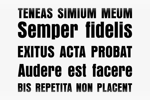Anzeigen Grotesk Anzeigen Grotesk