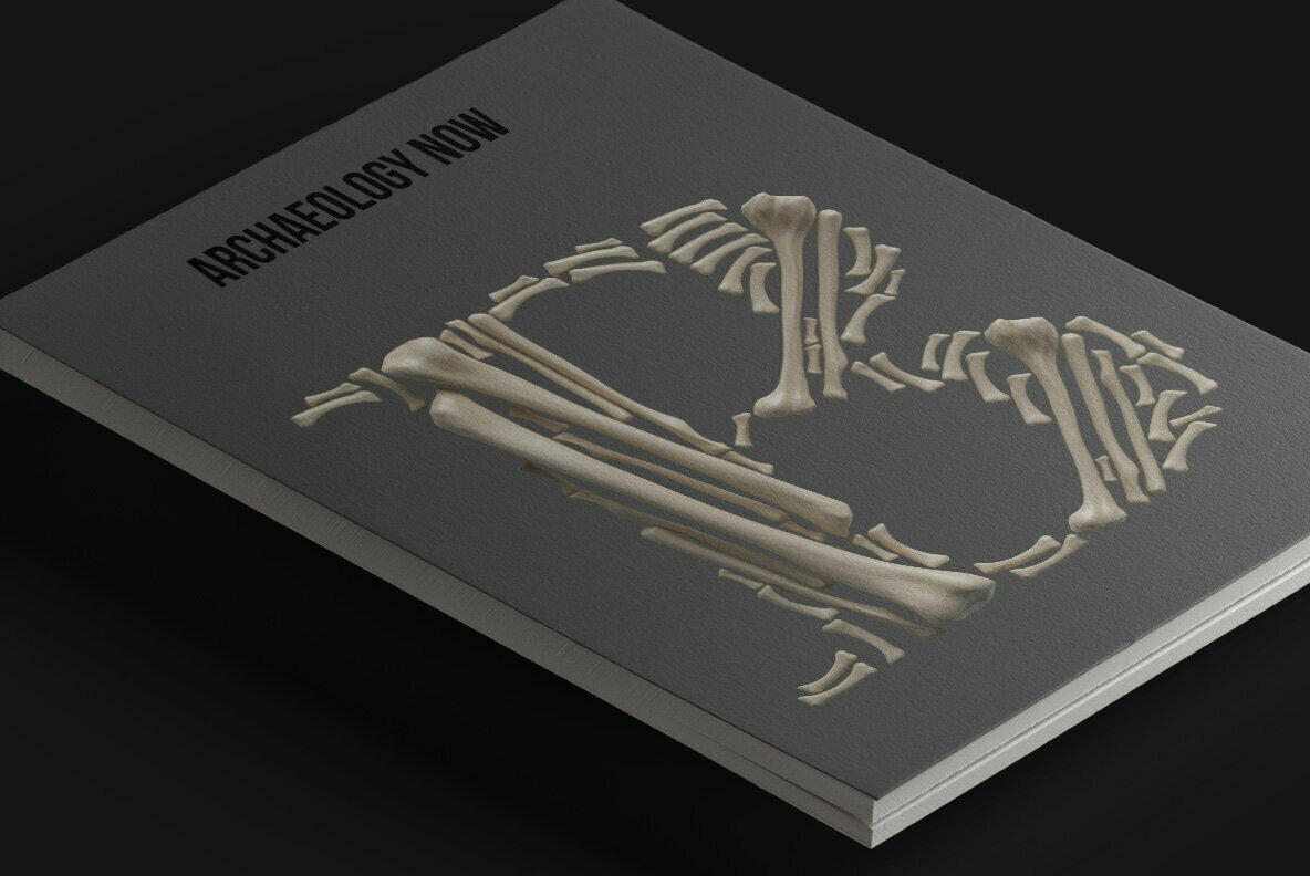 Archaeology Archaeology
