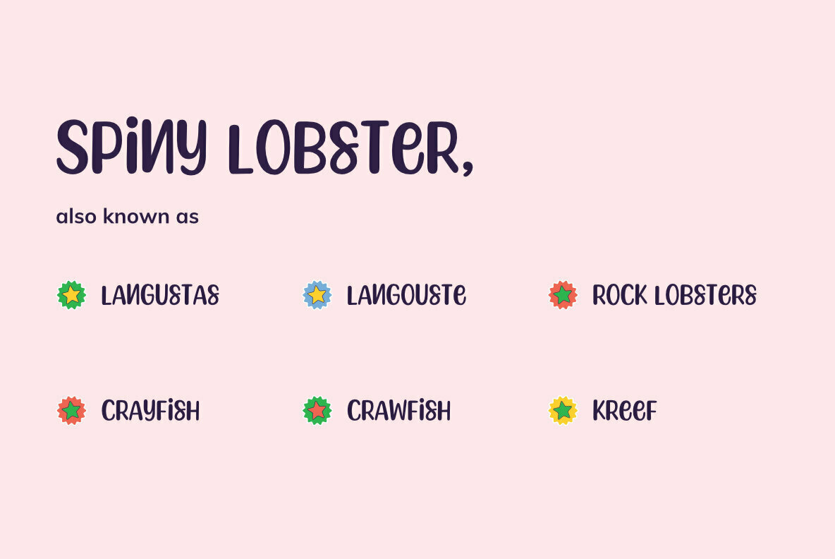 Spiny Lobster Spiny Lobster