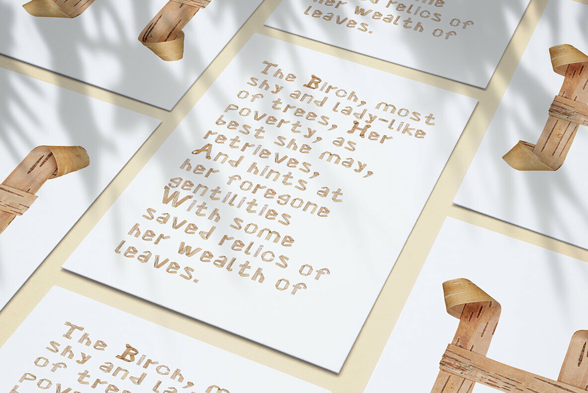 Birch Curl SVG Birch Curl SVG
