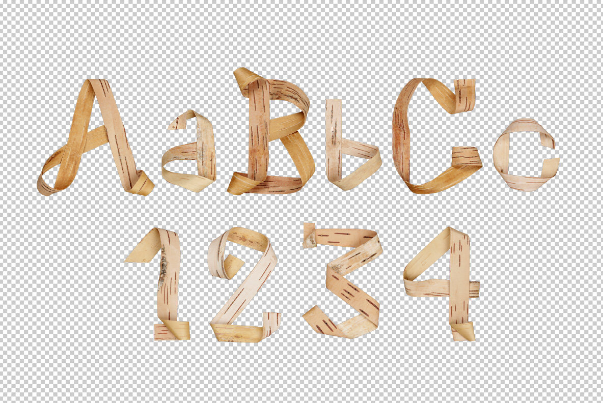 Birch Curl SVG Birch Curl SVG