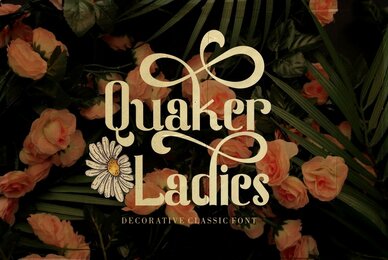 Quaker Ladies