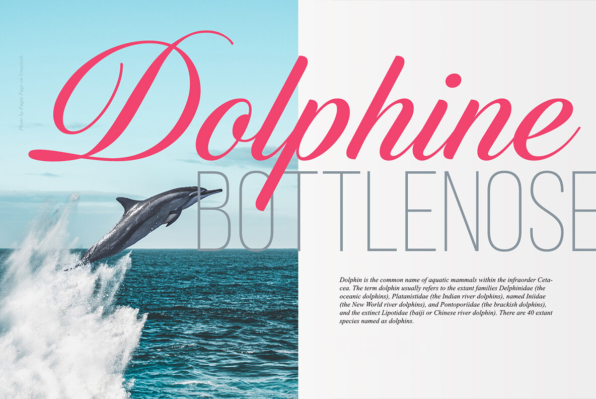 Candlescript Neue Basic 6