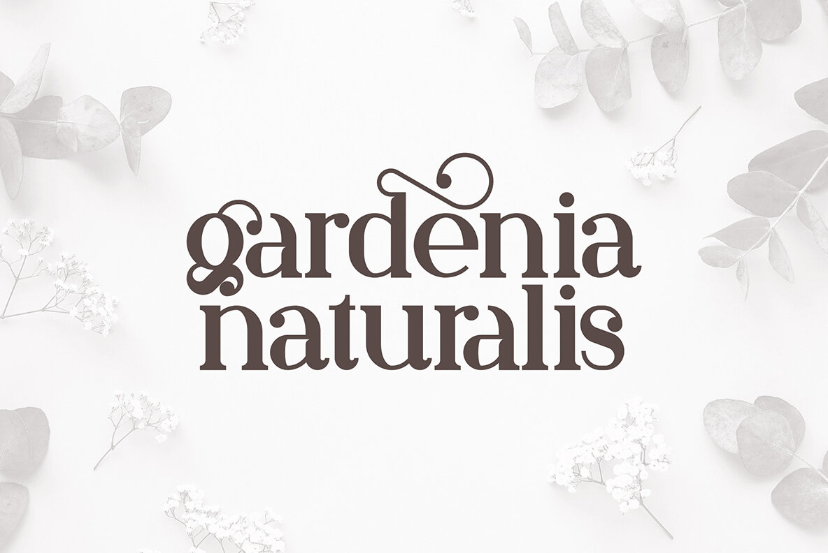 Artistic Font Collection 7