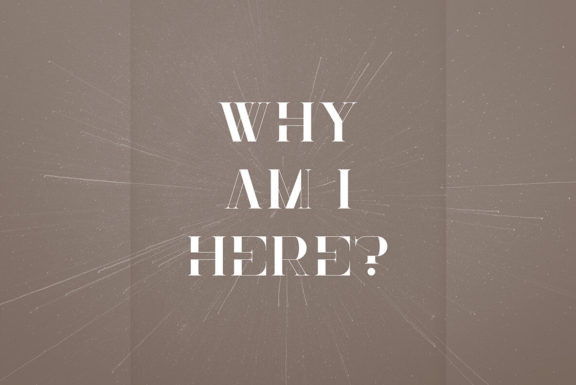 Elegant Font Collection 6