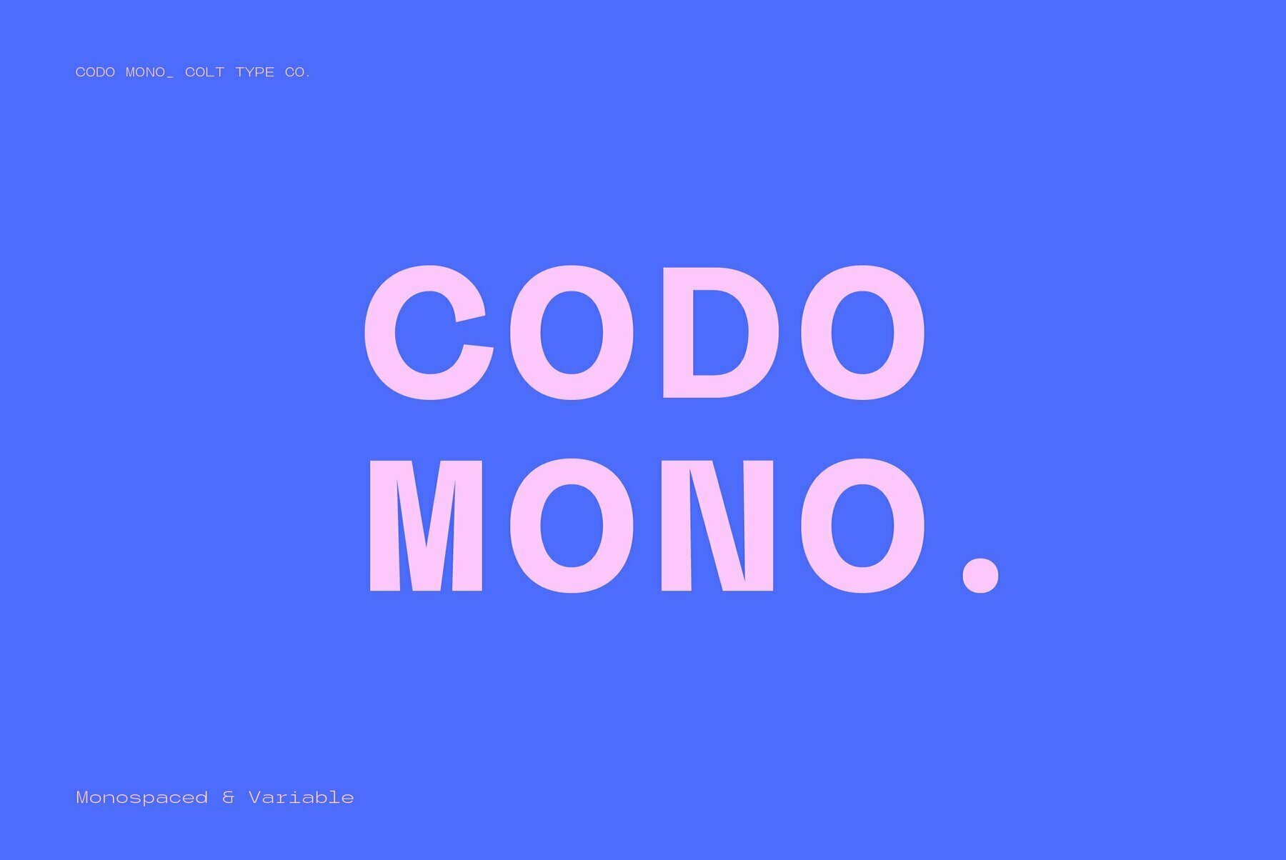 Codo Mono 1