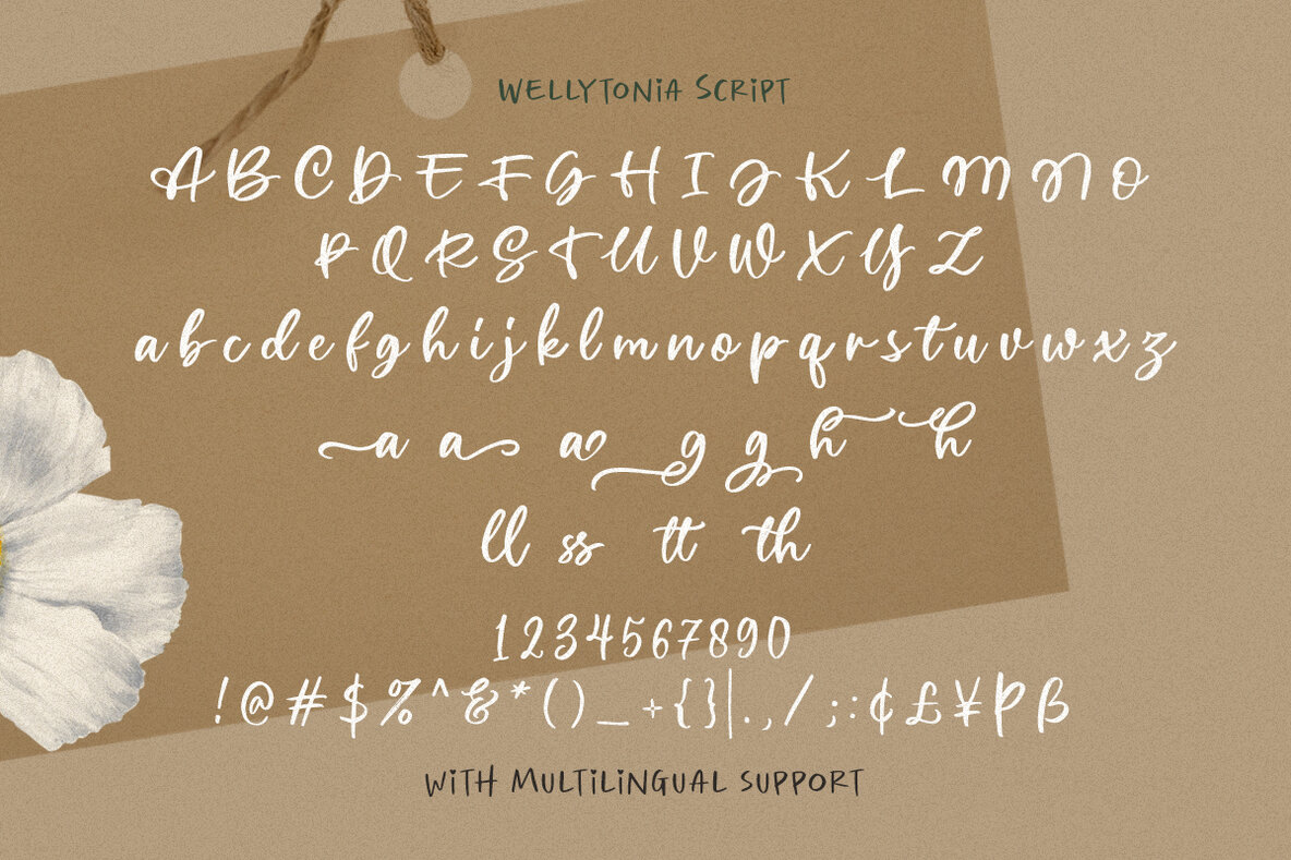Wellytonia Package Font Trio 8