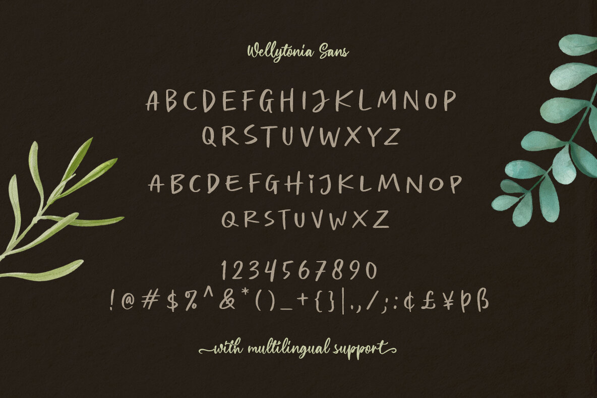 Wellytonia Package Font Trio 9