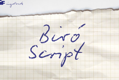 Biro Script Plus