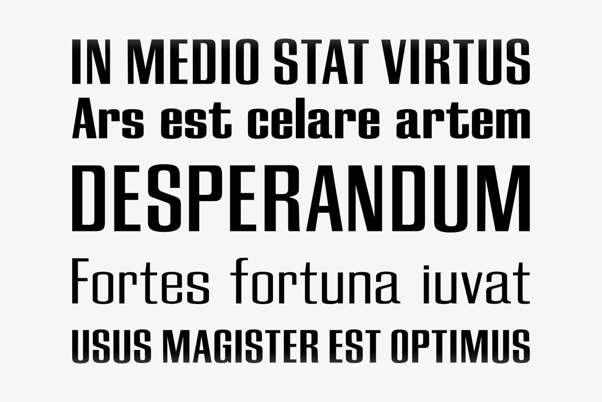 California Grotesk 2