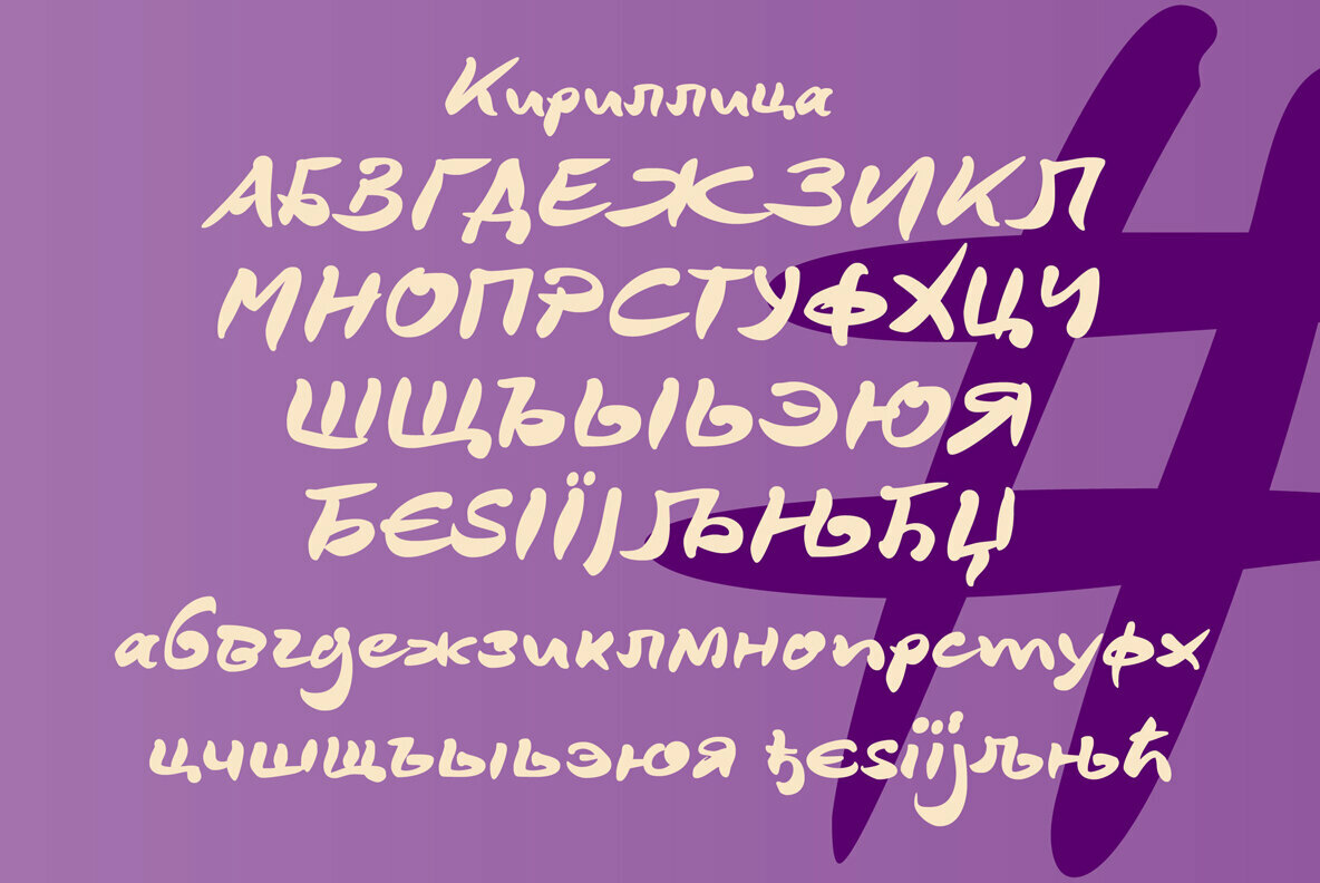 DeBorstel Brush Pro 5