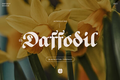 ED Daffodil