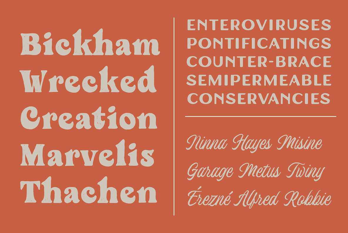 Windsore Font Trio 6