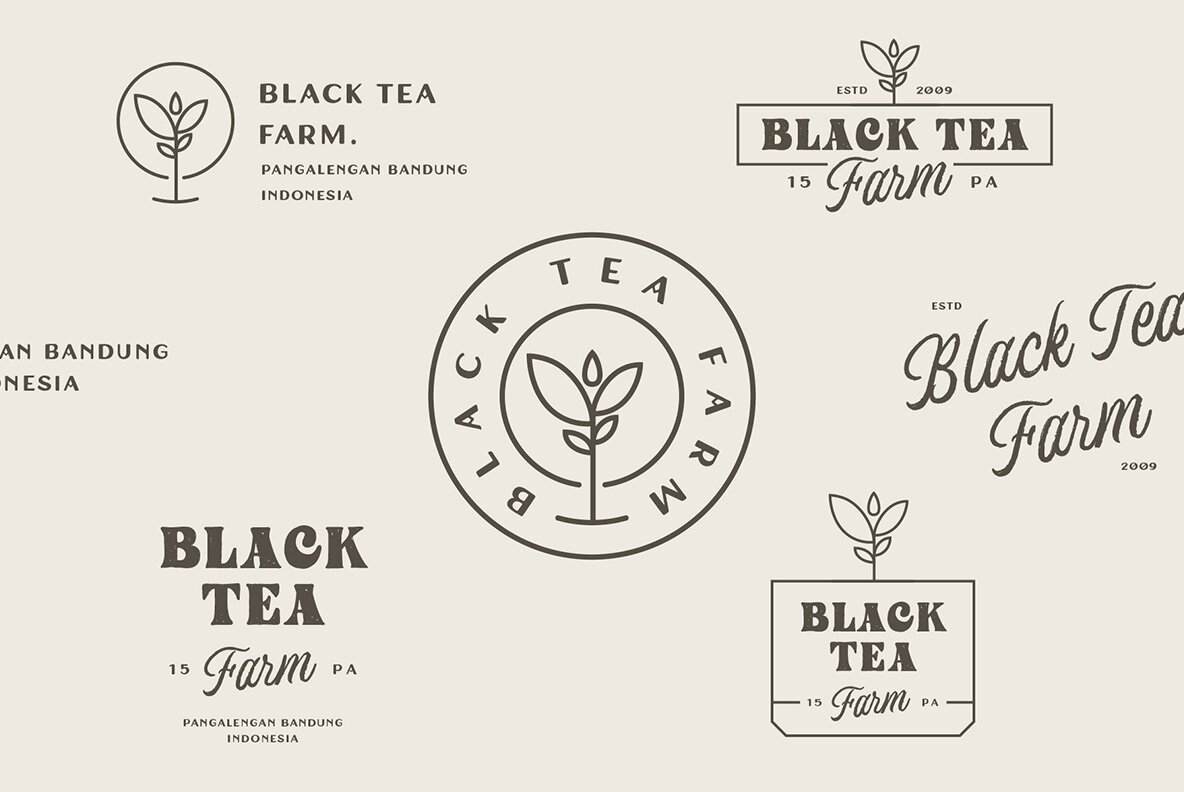 Windsore Font Trio 7