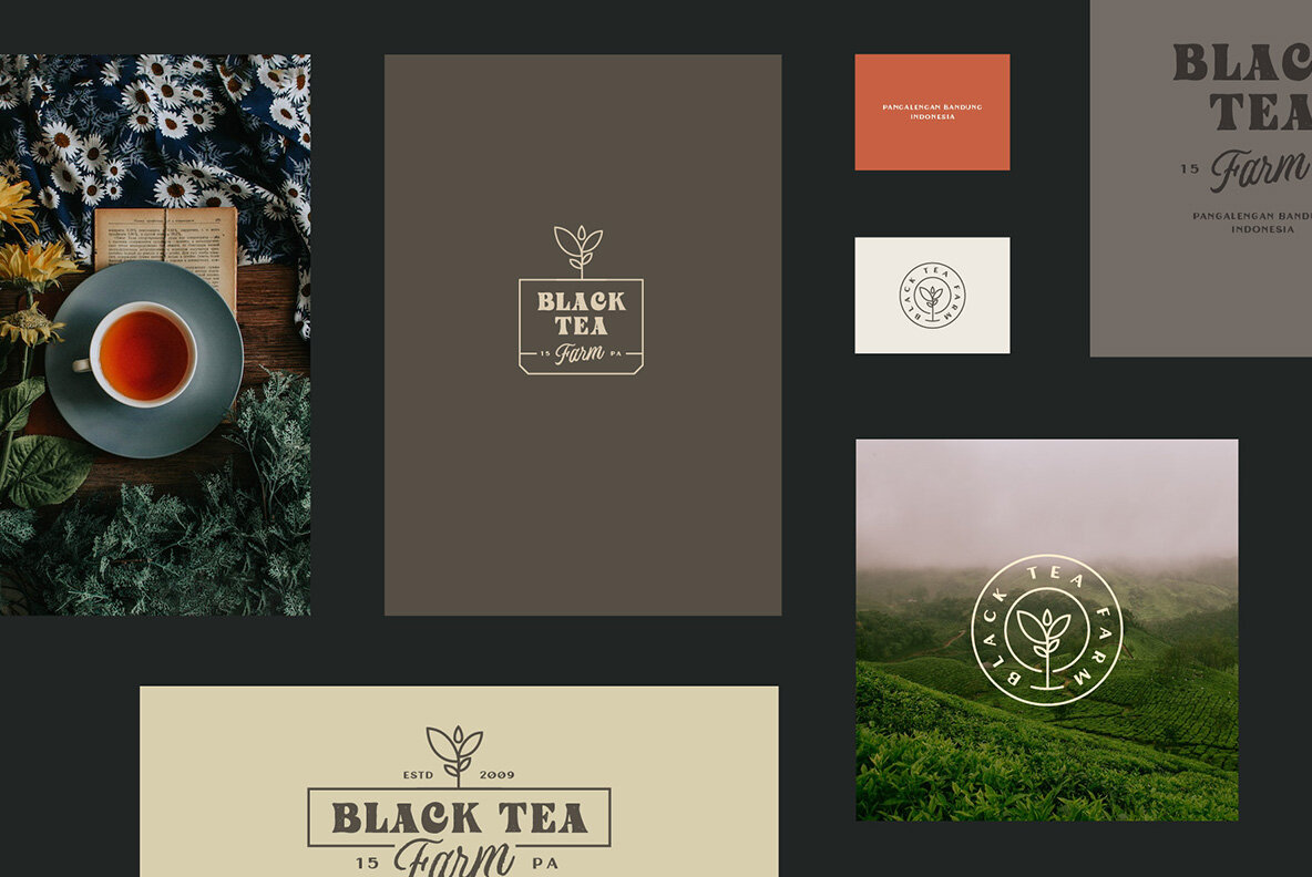 Windsore Font Trio 8