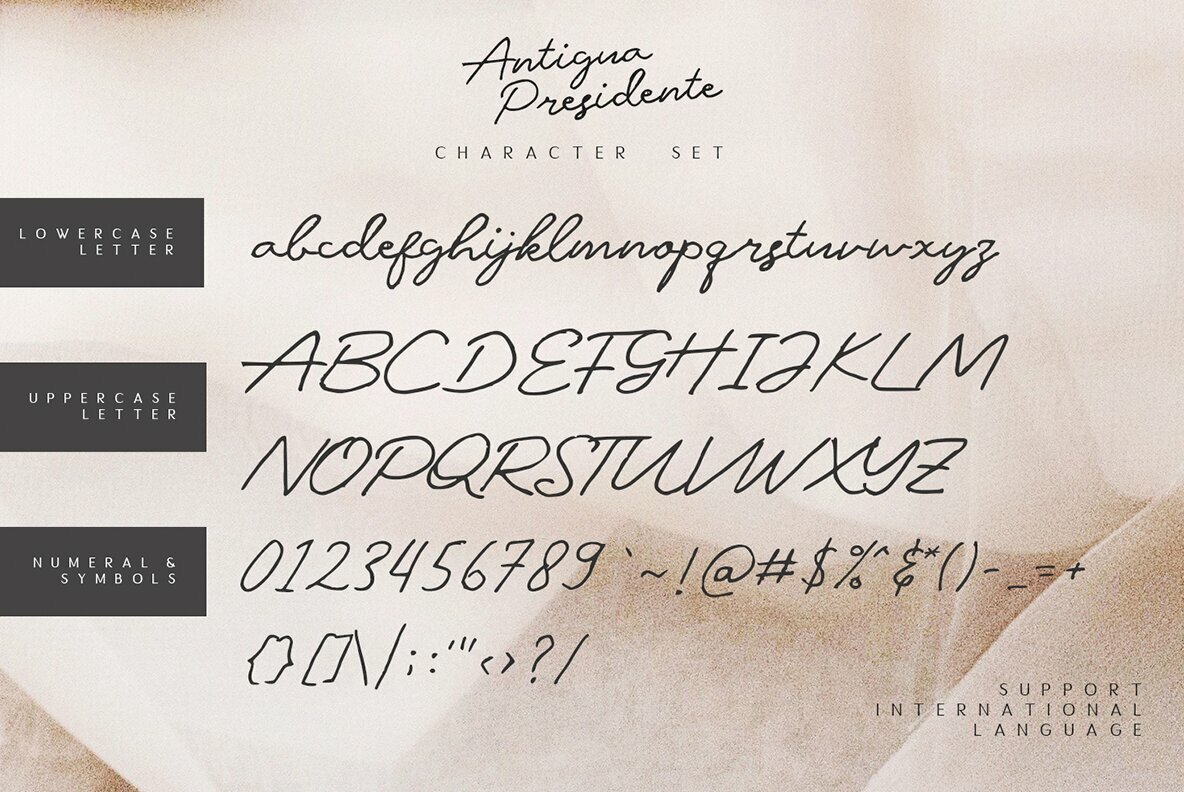 Antigua Presidente 6