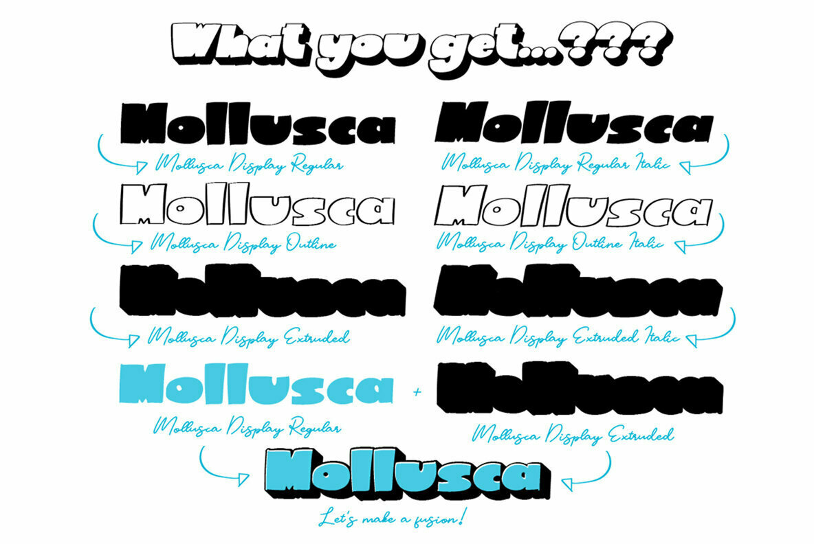 Mollusca Font Trio 3